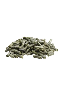 Best Vital refill, 8 kilo Tilskudd