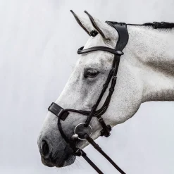 Hot PS of Sweden High Jump hodelag Ponni Hodelag Og Grimer|Hodelag & Nesereimer