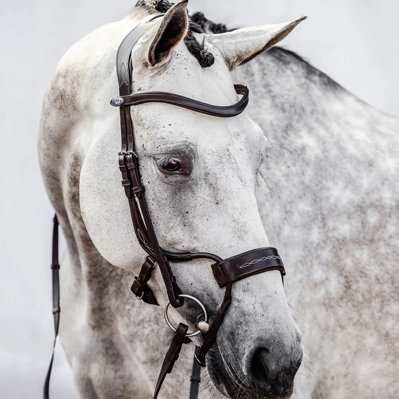 Hot PS of Sweden High Jump hodelag Ponni Hodelag Og Grimer|Hodelag & Nesereimer