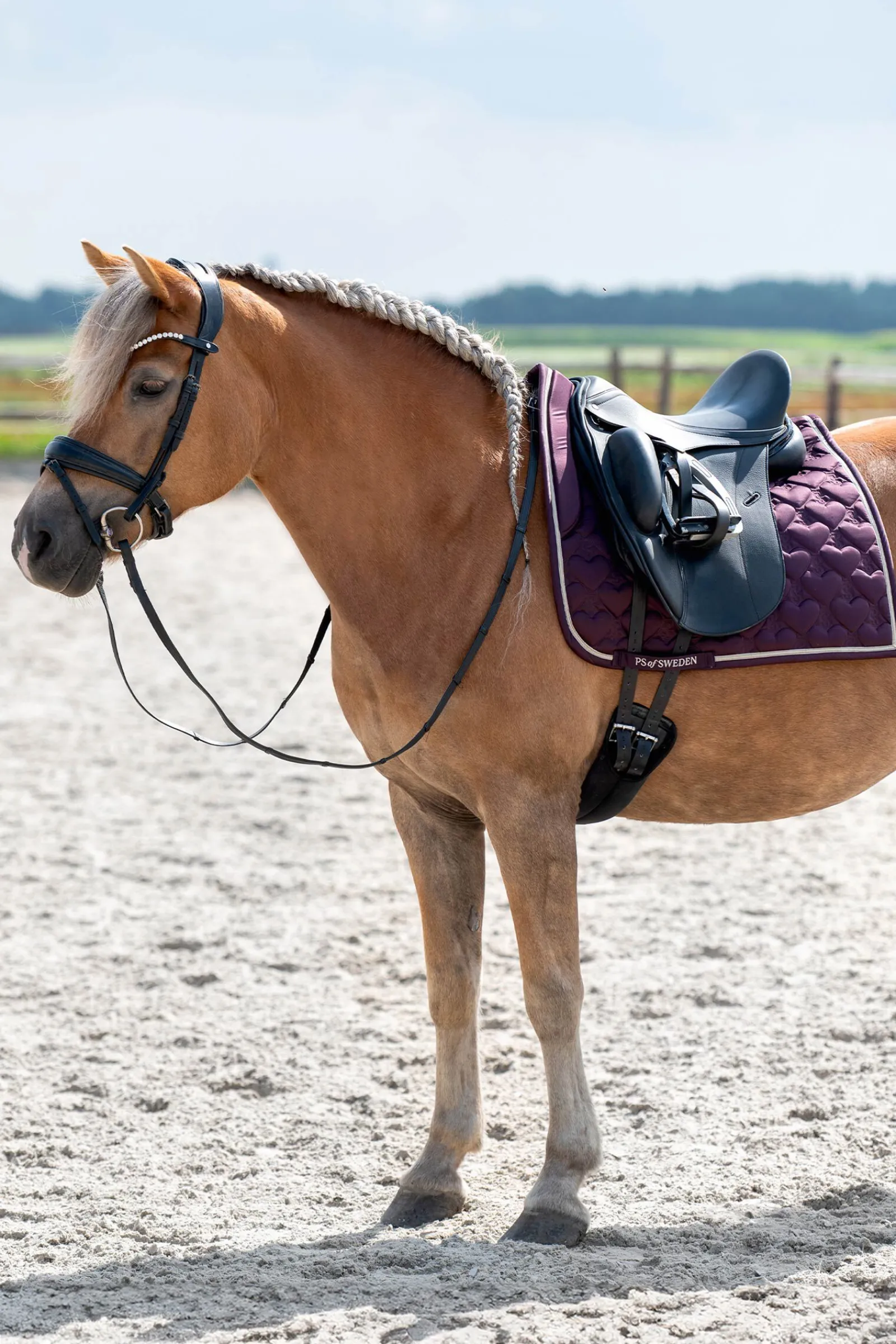 Outlet PS of Sweden Hjerte Dressursadelunderlag Dressursjabraker