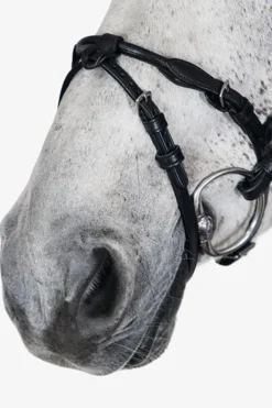 PS of Sweden Hodelag, Mary Lou av Henrik von Eckermann Hodelag & Nesereimer