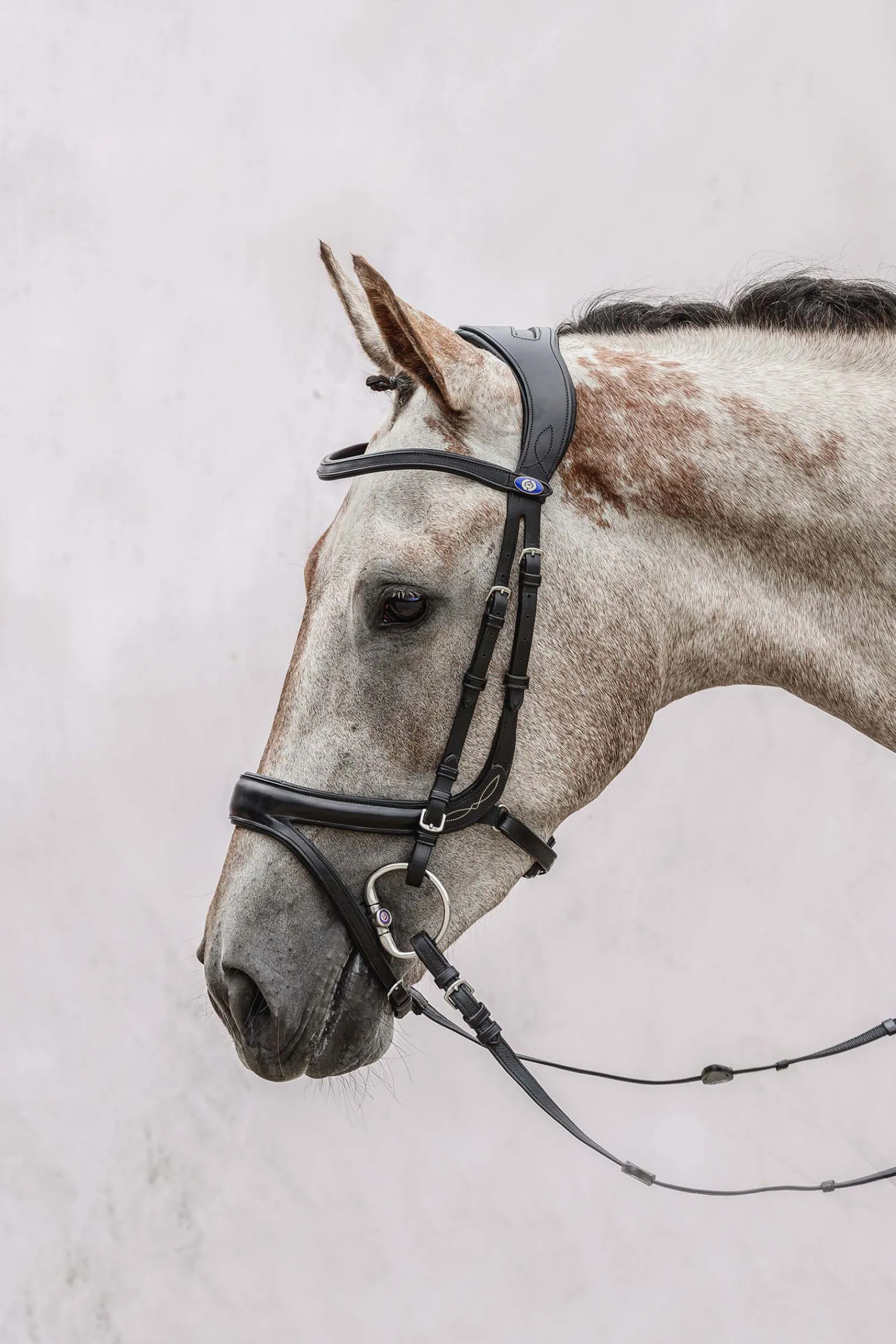 Hot PS of Sweden Jump Off hodelag Ponni Hodelag Og Grimer|Hodelag & Nesereimer