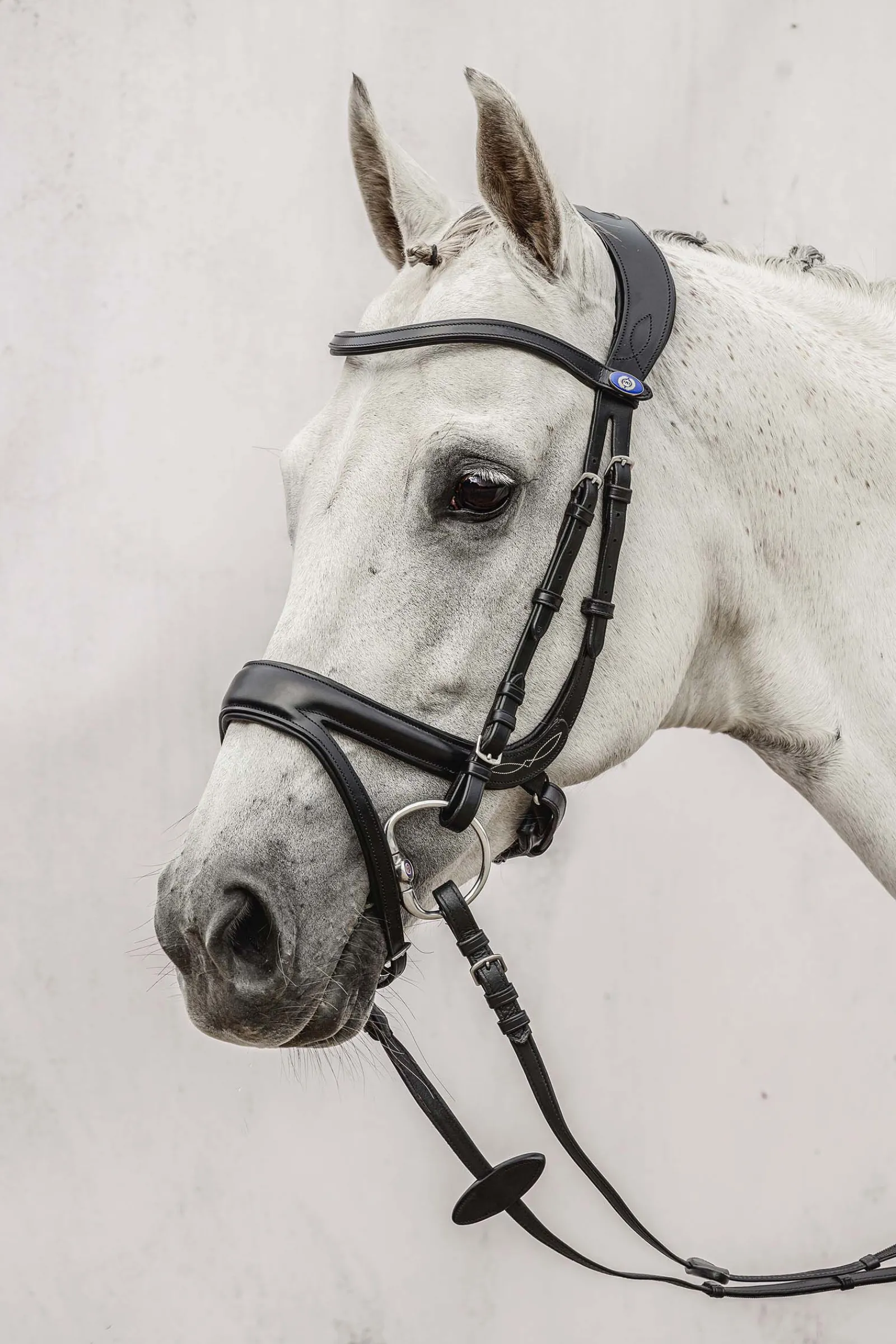 Hot PS of Sweden Jump Off hodelag Ponni Hodelag Og Grimer|Hodelag & Nesereimer