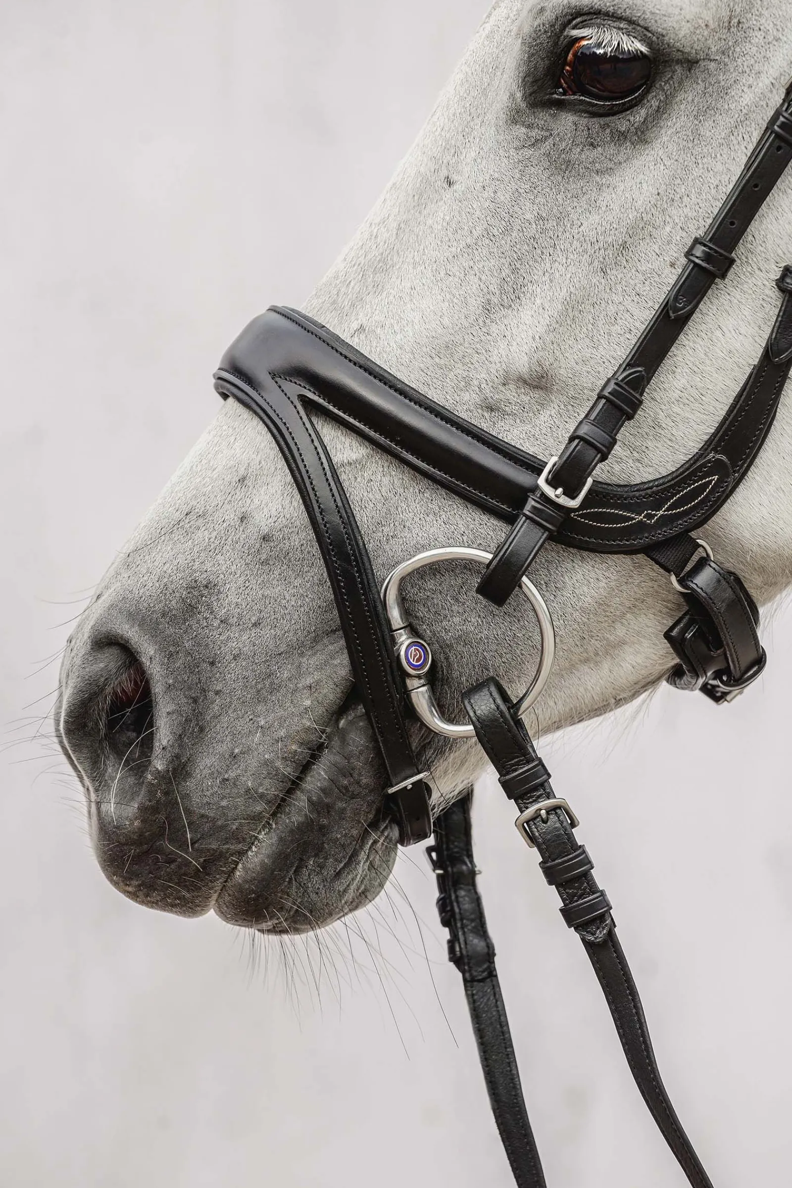 Hot PS of Sweden Jump Off hodelag Ponni Hodelag Og Grimer|Hodelag & Nesereimer