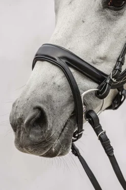 Hot PS of Sweden Jump Off hodelag Ponni Hodelag Og Grimer|Hodelag & Nesereimer