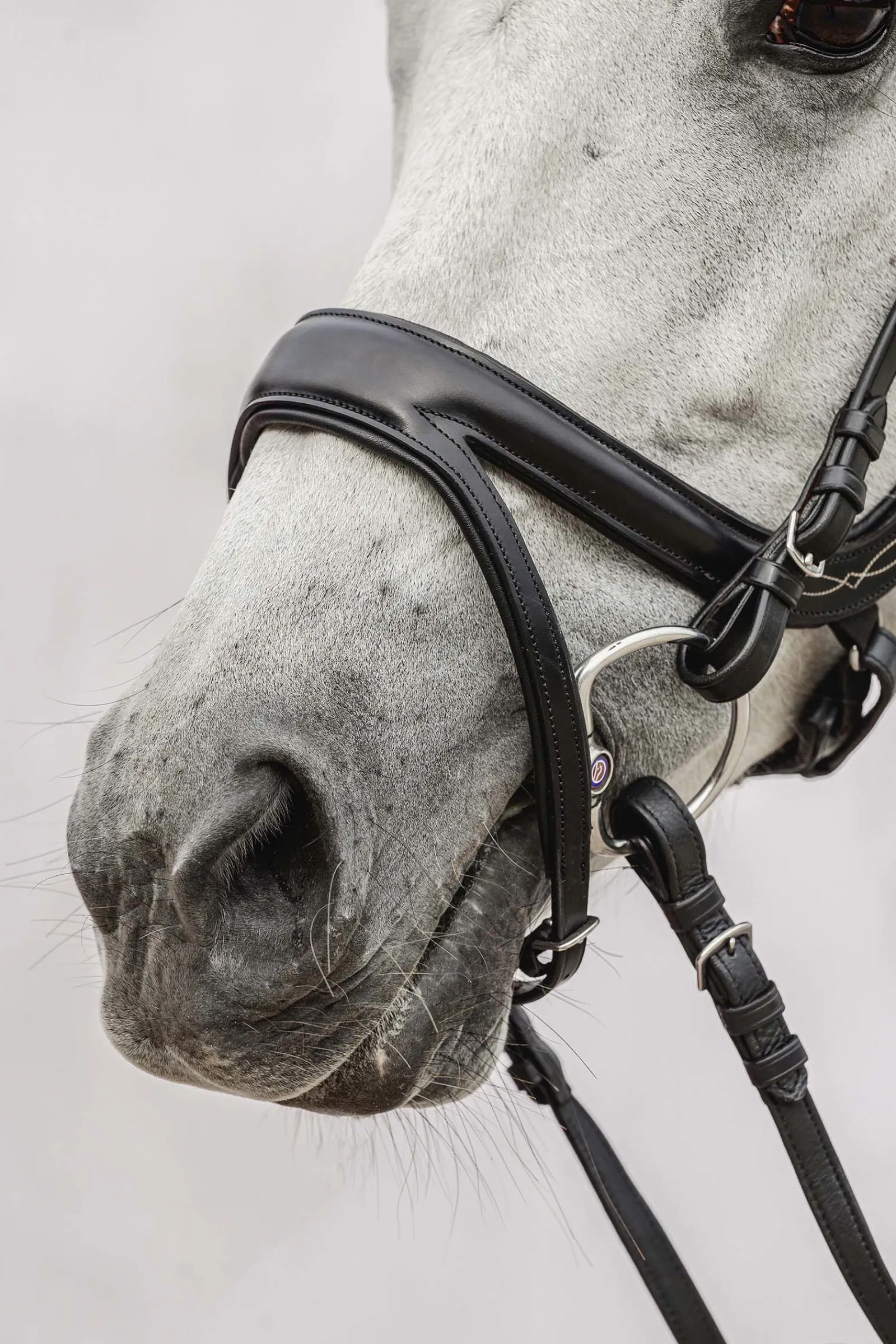 Hot PS of Sweden Jump Off hodelag Ponni Hodelag Og Grimer|Hodelag & Nesereimer