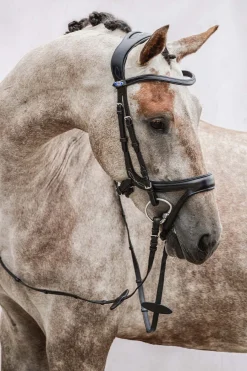 Hot PS of Sweden Jump Off hodelag Ponni Hodelag Og Grimer|Hodelag & Nesereimer