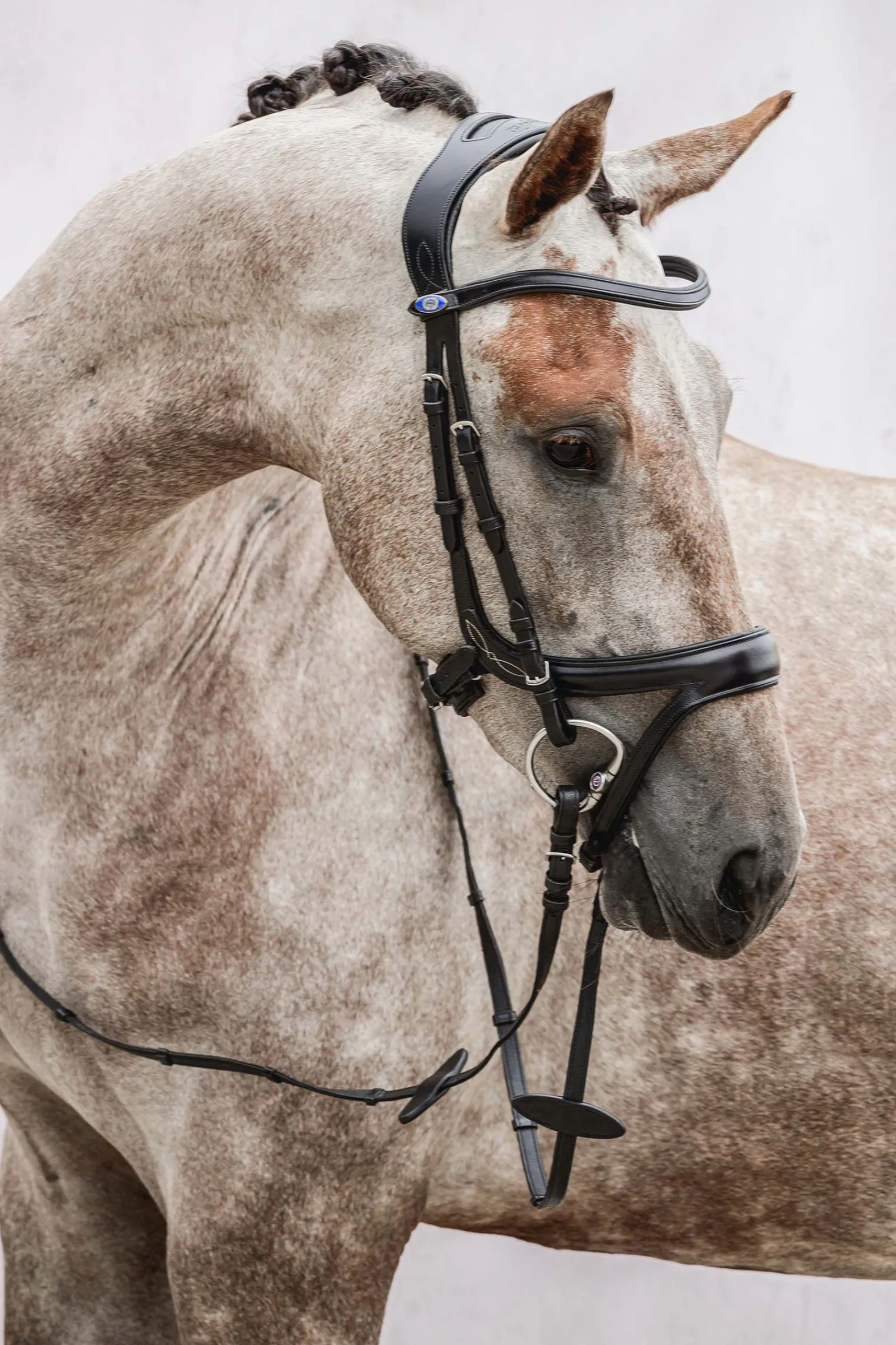 Hot PS of Sweden Jump Off hodelag Ponni Hodelag Og Grimer|Hodelag & Nesereimer