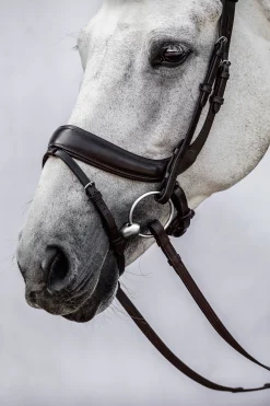 Best PS of Sweden Paladin hodelag Hodelag & Nesereimer