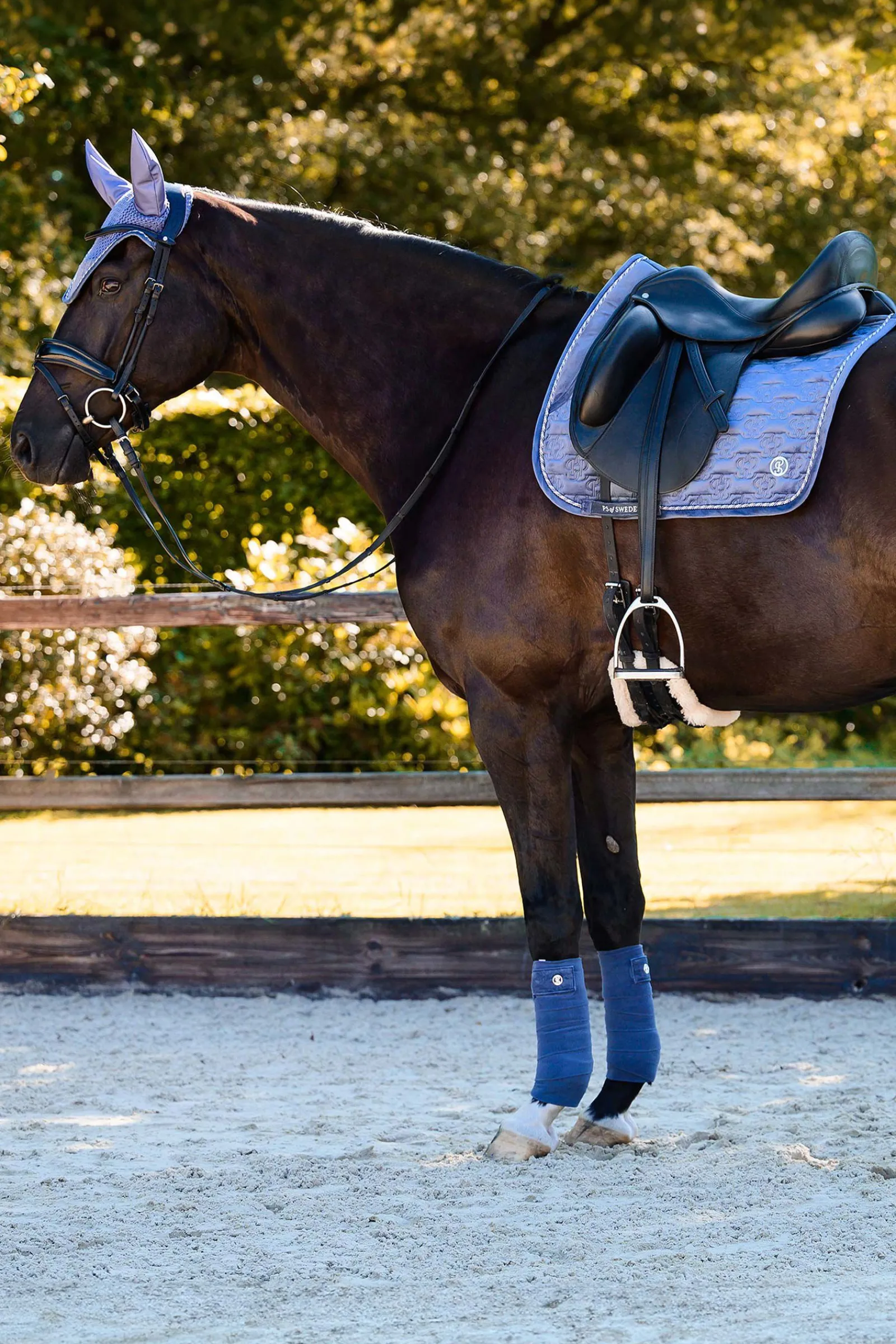 Outlet PS of Sweden sjabraker Velvet Monogram dressur Dressursjabraker