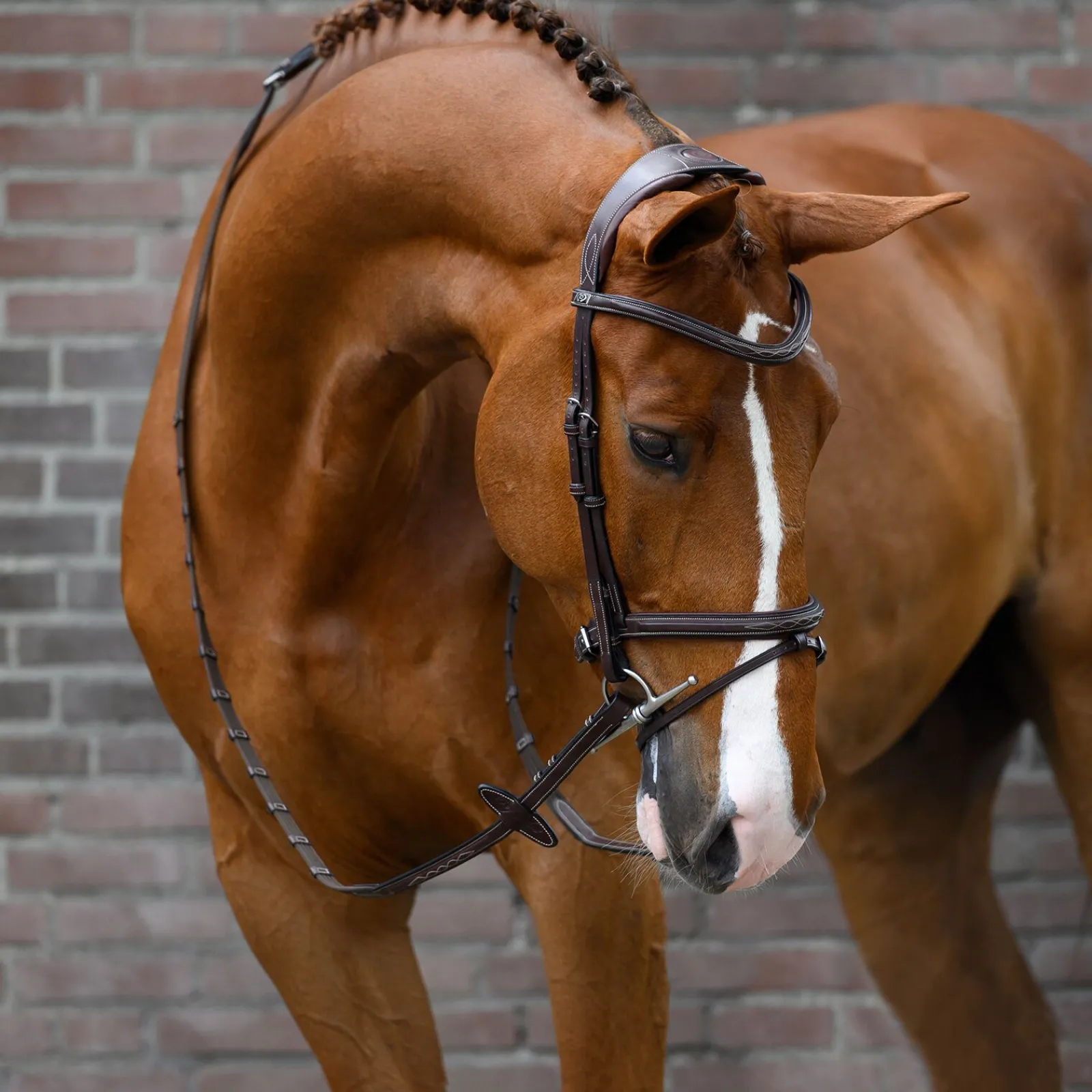 Hot PS of Sweden Stockholm hodelag Ponni Hodelag Og Grimer|Hodelag & Nesereimer