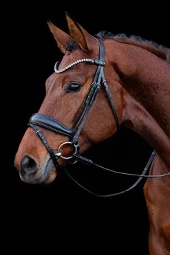 Discount Schockemöhle Siena hodelag Ponni Hodelag Og Grimer|Hodelag & Nesereimer