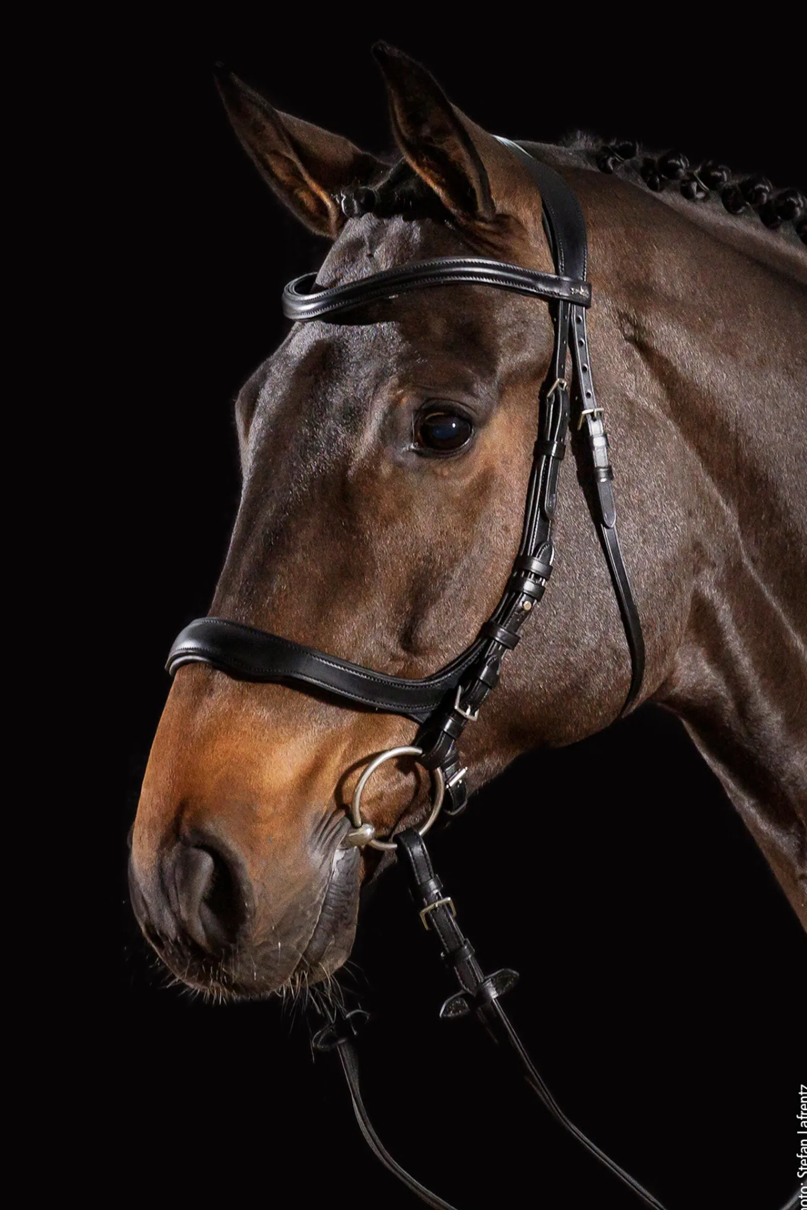 Online Schockemöhle Sports Equitus Delta hodelag Ponni Hodelag Og Grimer|Hodelag & Nesereimer