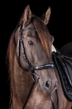 Clearance Schockemöhle Sports Equitus Theta 3-i-1 hodelag Hodelag & Nesereimer