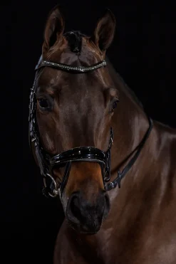 New Schockemöhle Sports Equitus Beta Glam hodelag Ponni Hodelag Og Grimer|Hodelag & Nesereimer