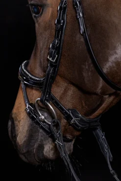New Schockemöhle Sports Equitus Beta Glam hodelag Ponni Hodelag Og Grimer|Hodelag & Nesereimer