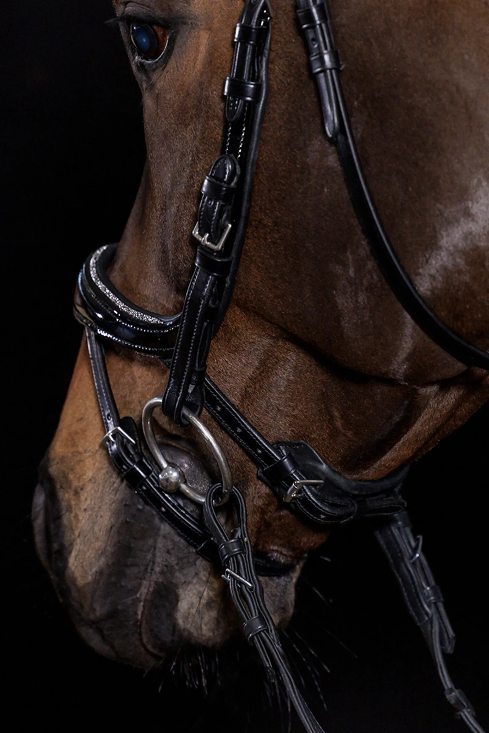 New Schockemöhle Sports Equitus Beta Glam hodelag Ponni Hodelag Og Grimer|Hodelag & Nesereimer
