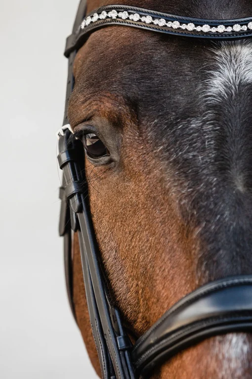Outlet Schockemöhle Sports Milton Anatomic  Double Bridle Hodelag & Nesereimer