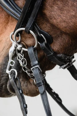 Outlet Schockemöhle Sports Milton Anatomic  Double Bridle Hodelag & Nesereimer