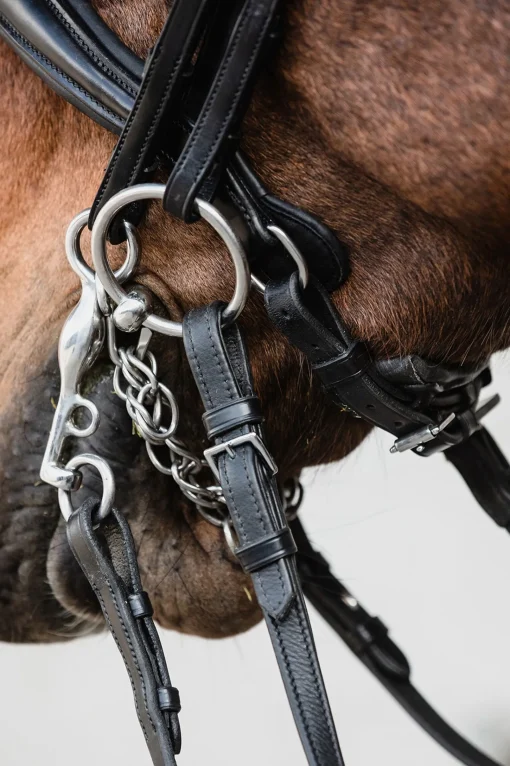 Outlet Schockemöhle Sports Milton Anatomic  Double Bridle Hodelag & Nesereimer