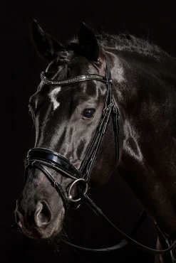 Schockemöhle Sports Stanford Glam hodelag Ponni Hodelag Og Grimer|Hodelag & Nesereimer