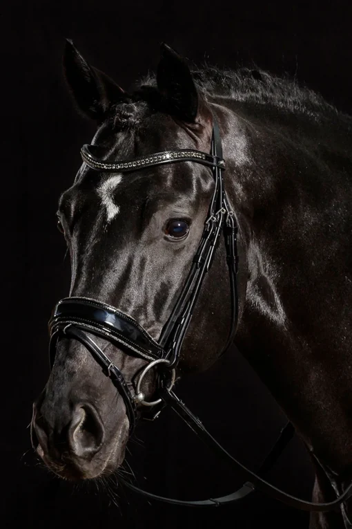 Schockemöhle Sports Stanford Glam hodelag Ponni Hodelag Og Grimer|Hodelag & Nesereimer