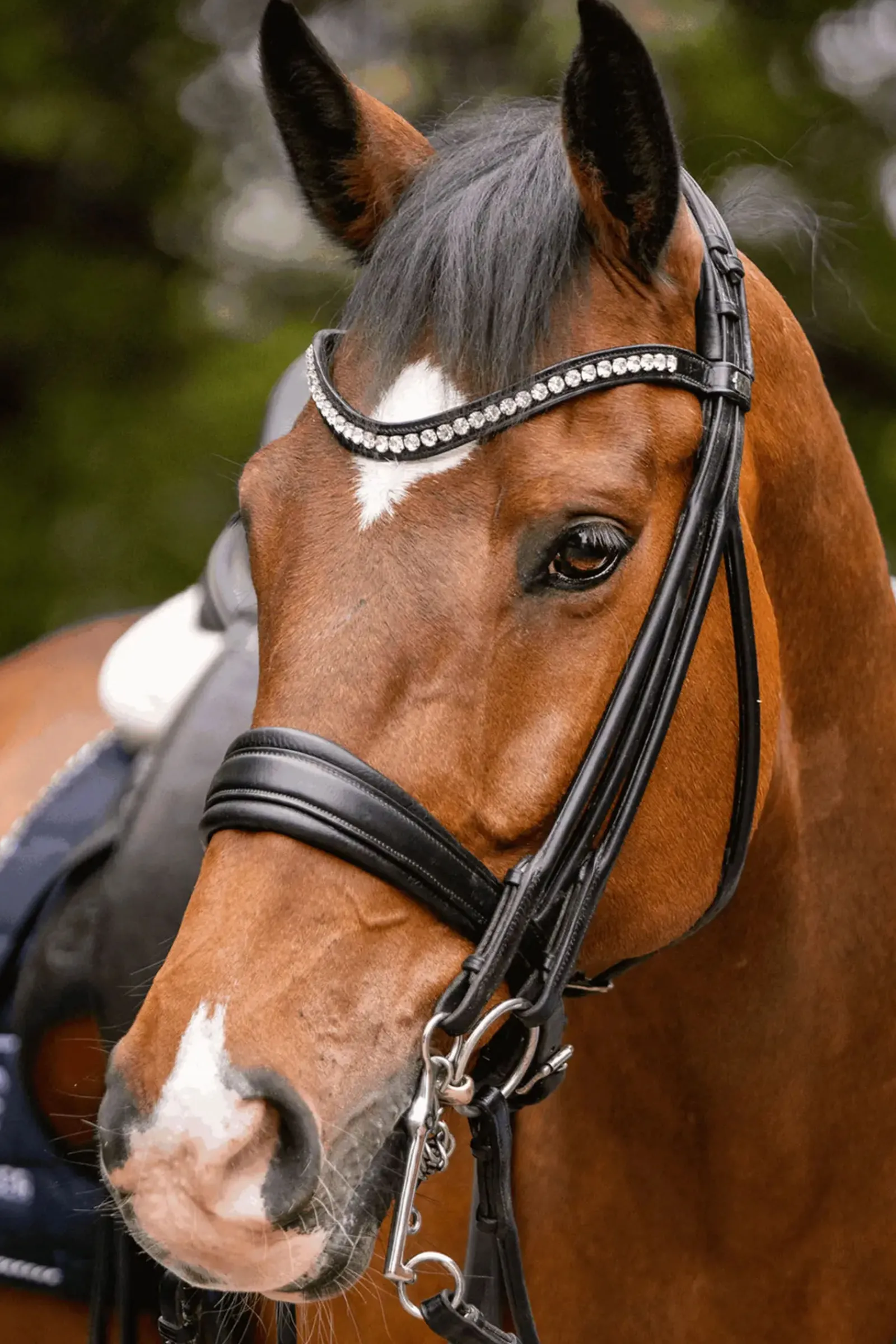 Online Novocontact Weymouth 14mm Sensogan med 7cm rustfrie stålkjefter Kandarbitt