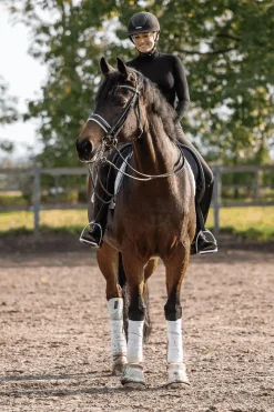 Online Novocontact Weymouth 14mm Sensogan med 7cm rustfrie stålkjefter Kandarbitt