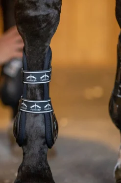 Carbon Gel Absolute senebelegg Belegg Til Hest