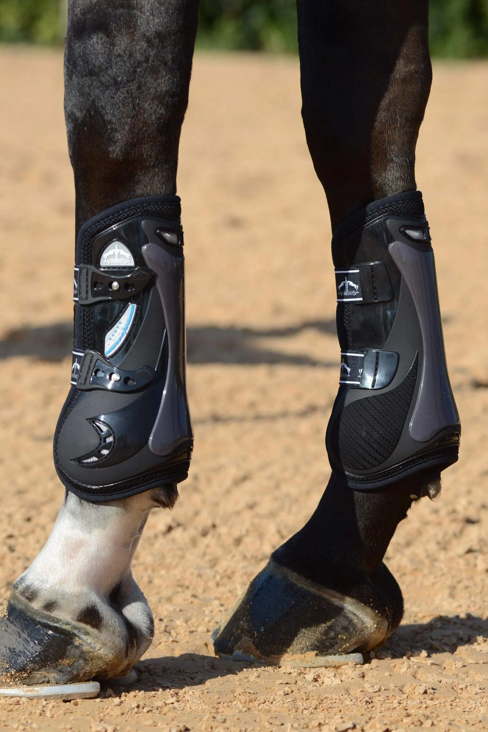 Sale Olympus Vento senebelegg Belegg Til Hest