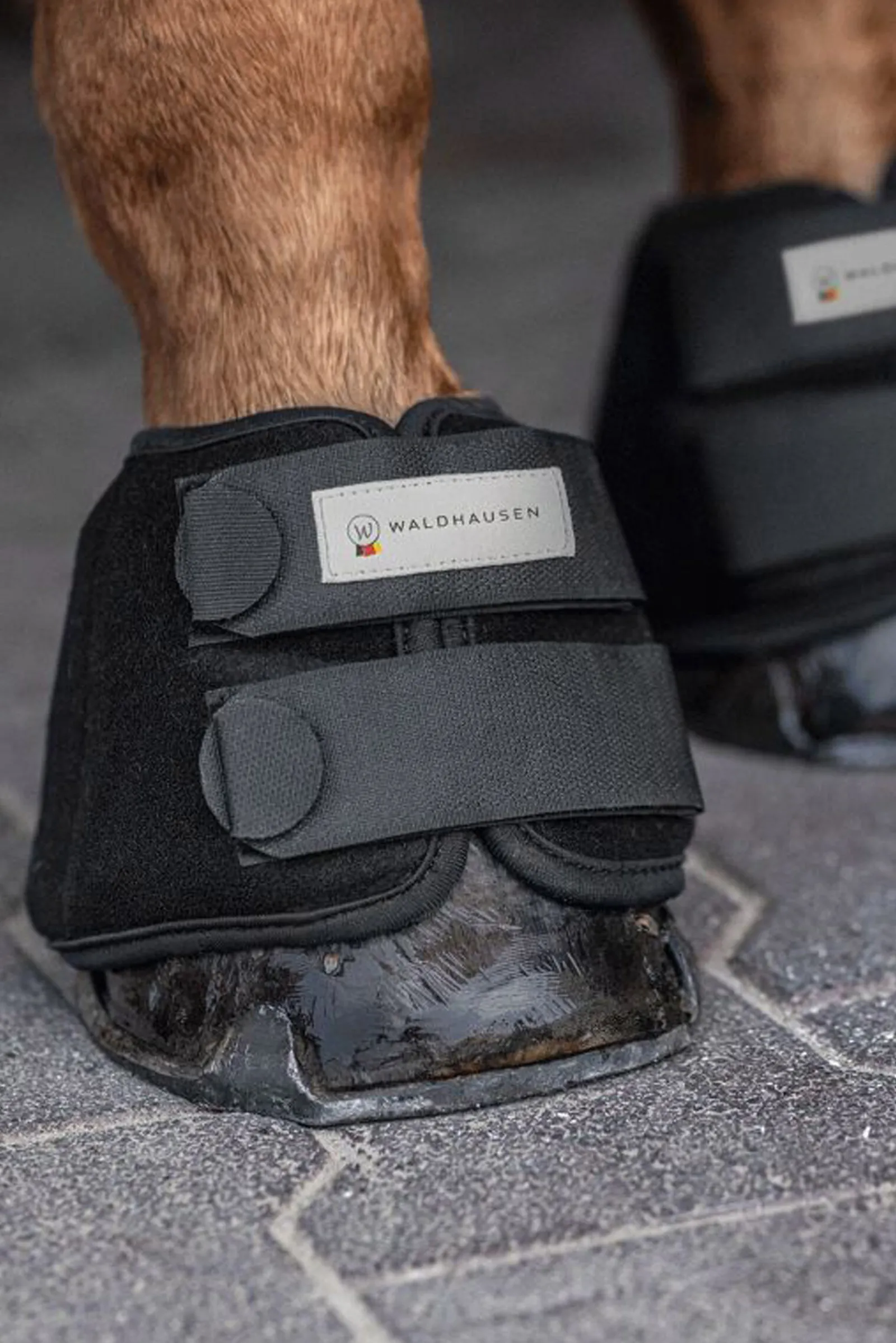 Best Cooling Bell Boots (Pair) Ponni Belegg|Kopper Til Hest