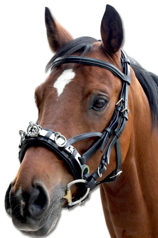 Sale Leather Cavesson Kapsun|Kapsun
