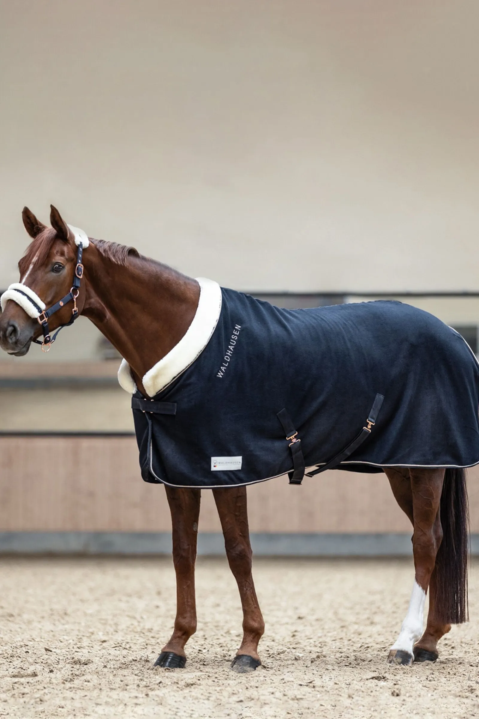 Best Modern Rosé Fleece Rug Ulldekken Og Svettedekken