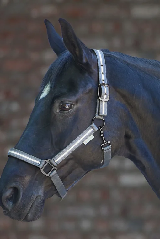 Online Reflex Stripe Halter Grimer
