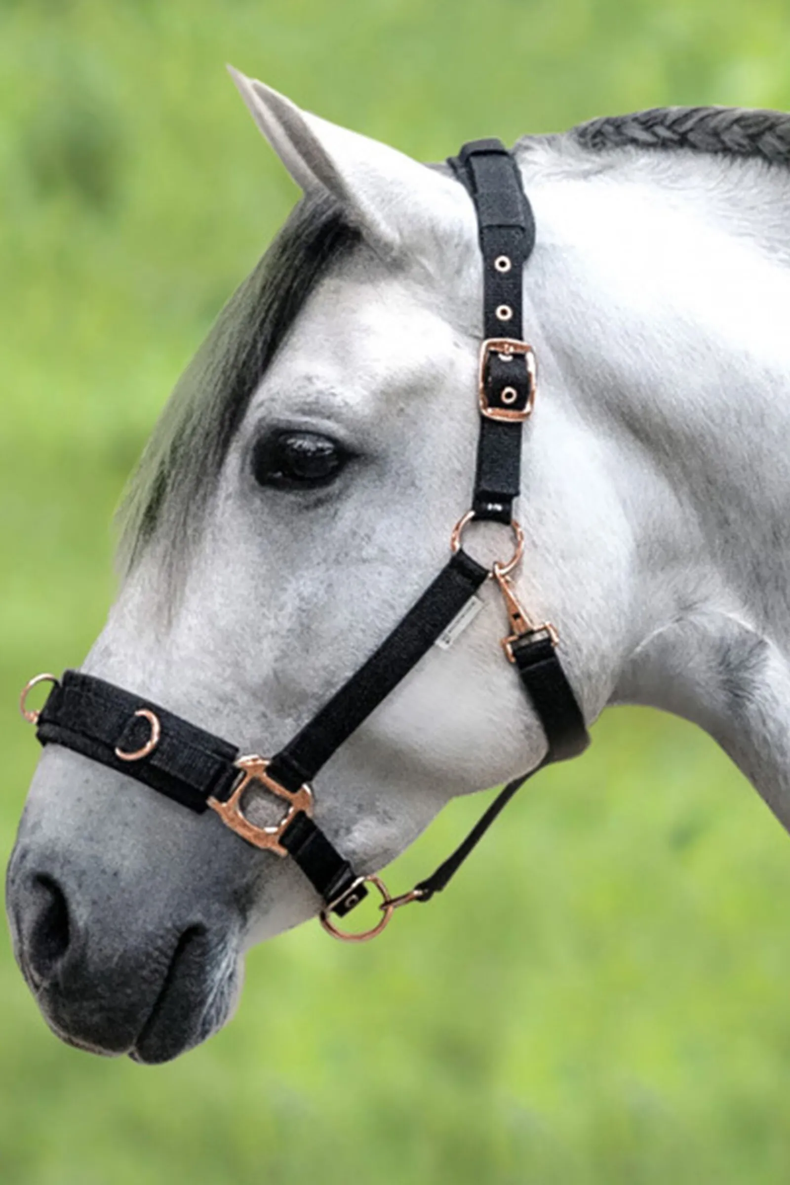 Online Rosé Lunging Halter Kapsun|Kapsun