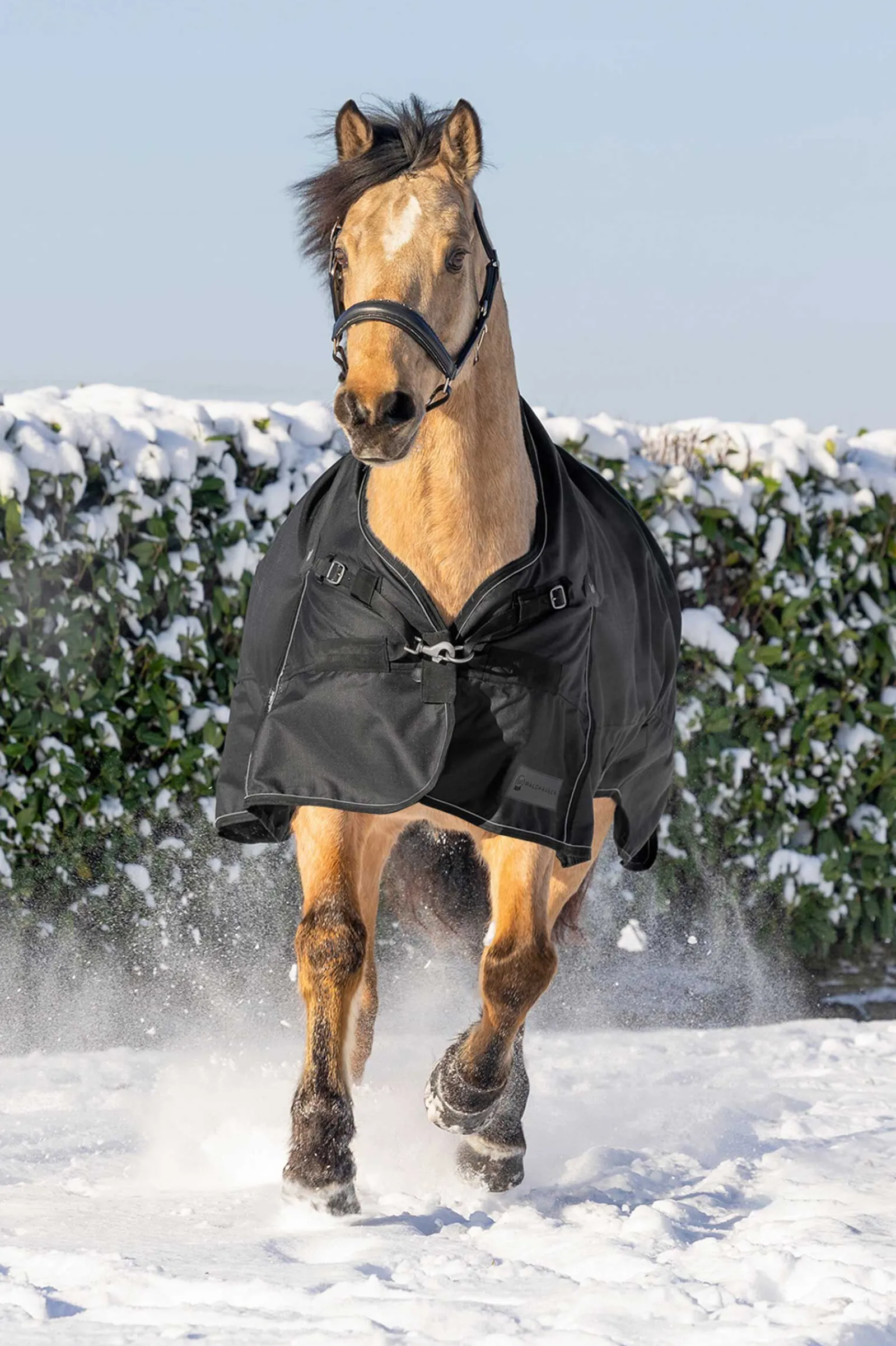 Discount Scandic Utedekken med høy hals, 200 g Overgangsdekken & Vinterdekken
