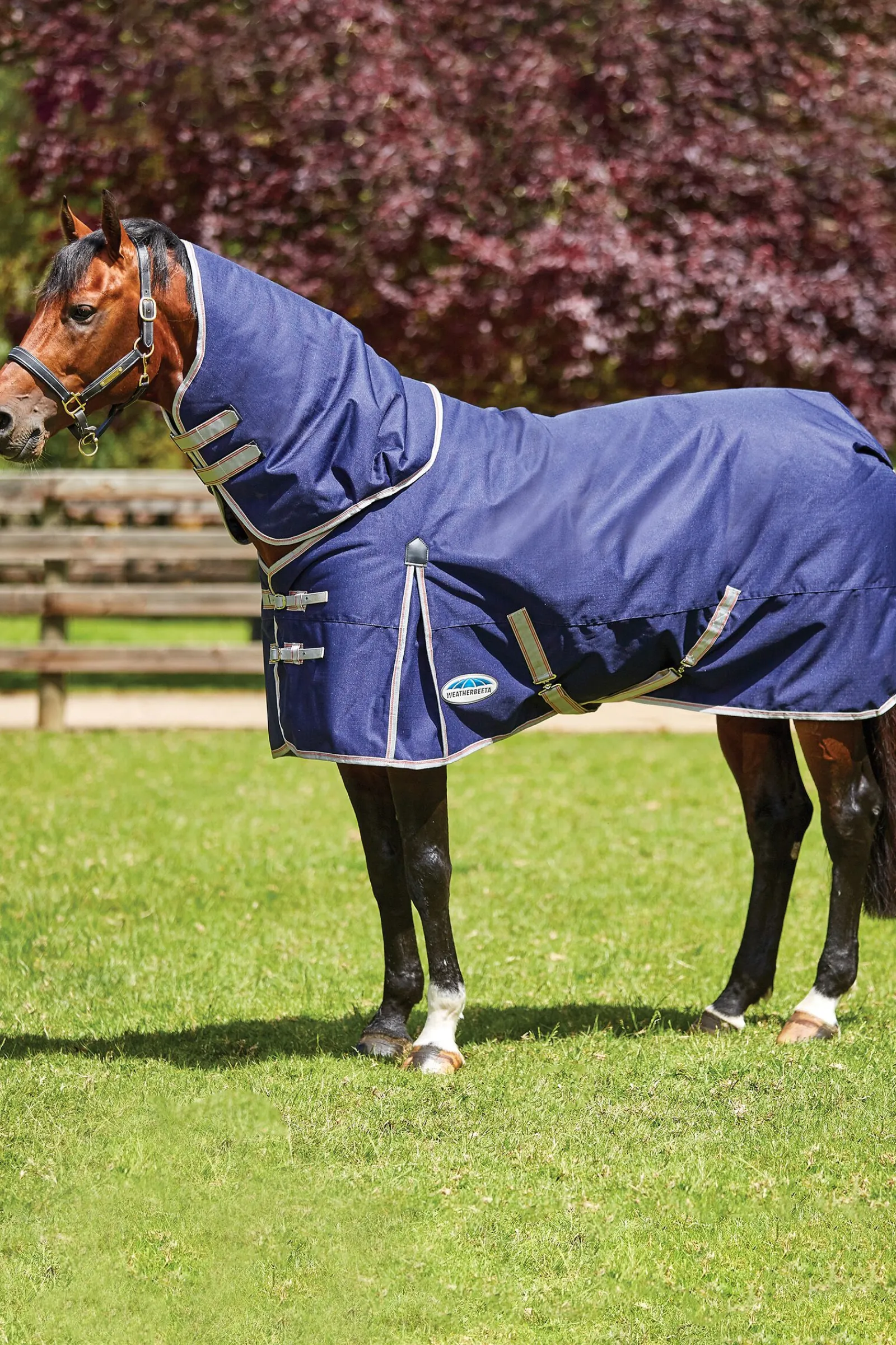 Outlet Comfitec Essential Detach-a-Neck Medium Turnout Rug, 220g Overgangsdekken & Vinterdekken