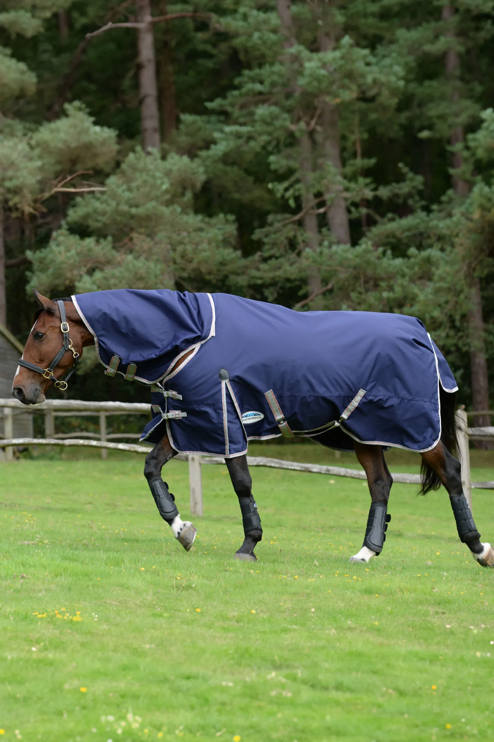 Outlet Comfitec Essential Detach-a-Neck Medium Turnout Rug, 220g Overgangsdekken & Vinterdekken