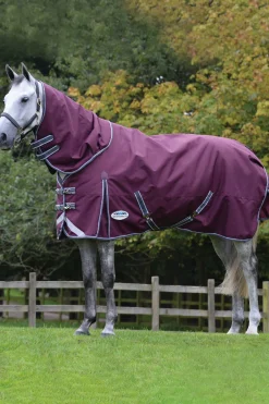 Sale Comfitec Plus Dynamic II Detach-a-Neck Heavy Turnout Rug, 360g Overgangsdekken & Vinterdekken