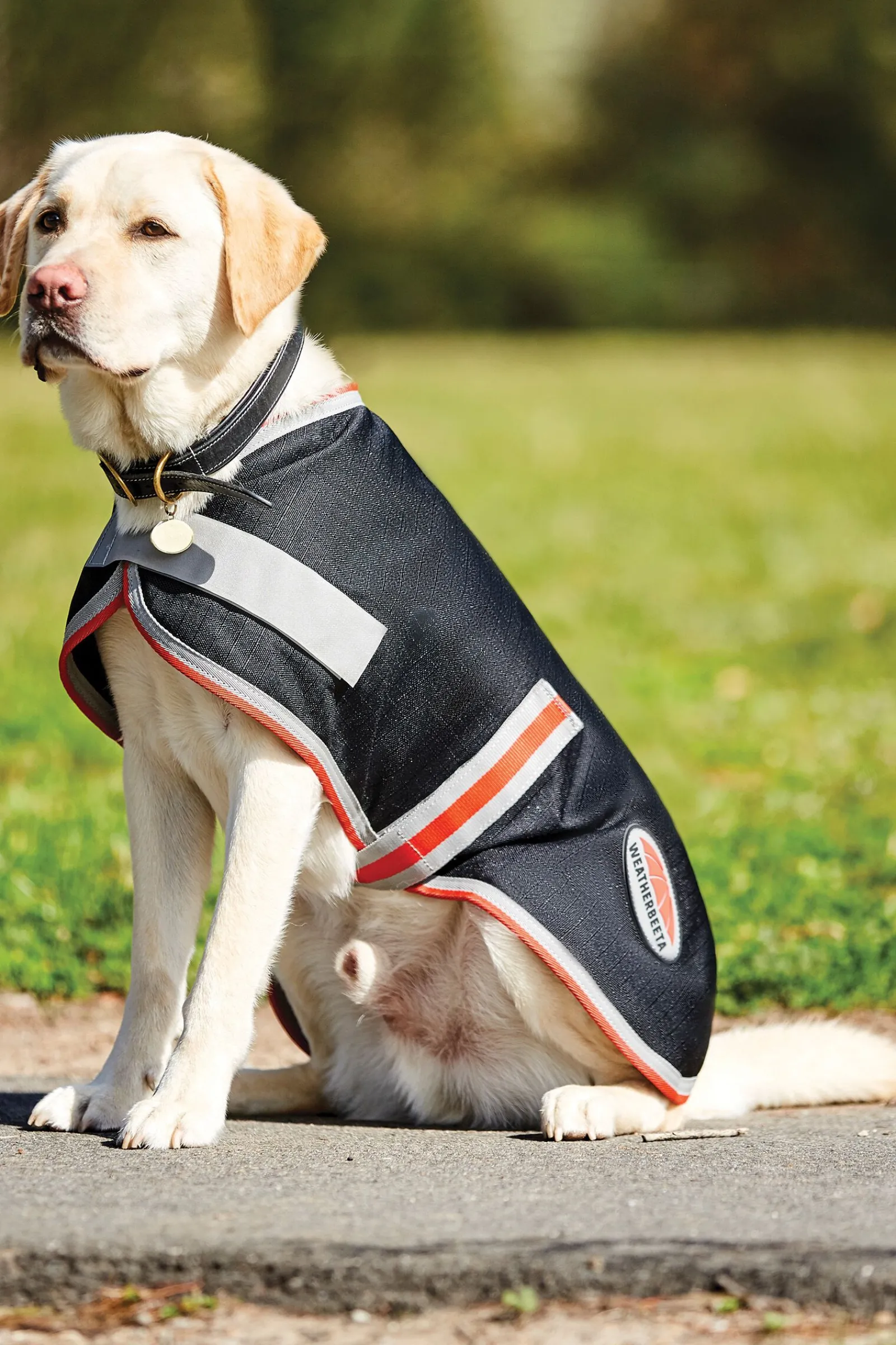 Outlet Comfitec Therapy-Tec 1200D Dog Coat, 100g Hundeklær Og Hundedekken