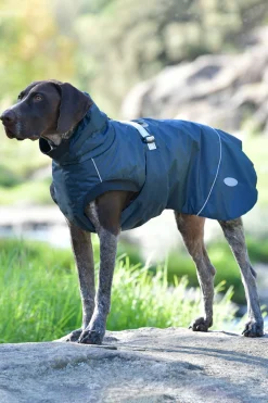 Discount Explorer Medium Hundefrakk Hundeklær Og Hundedekken
