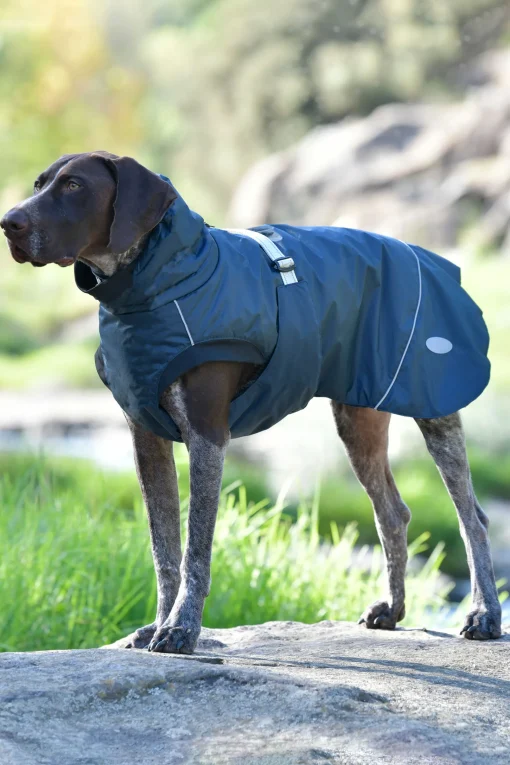 Discount Explorer Medium Hundefrakk Hundeklær Og Hundedekken