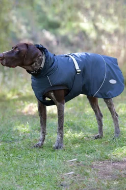 Discount Explorer Medium Hundefrakk Hundeklær Og Hundedekken