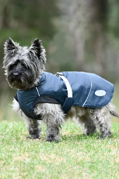 Discount Explorer Medium Hundefrakk Hundeklær Og Hundedekken