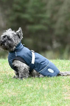 Discount Explorer Medium Hundefrakk Hundeklær Og Hundedekken