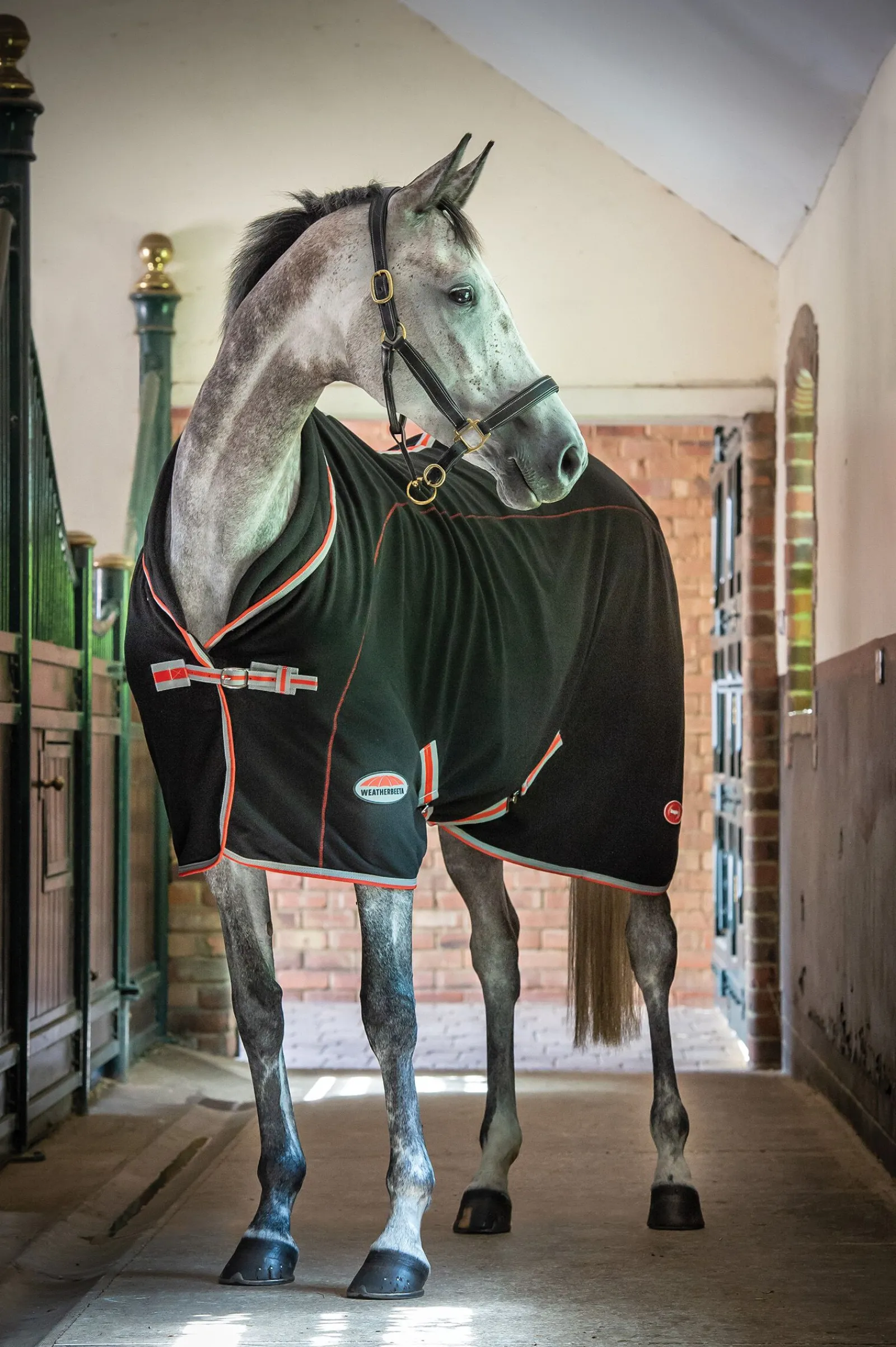 New Therapy-Tec, standard hals Terapidekken